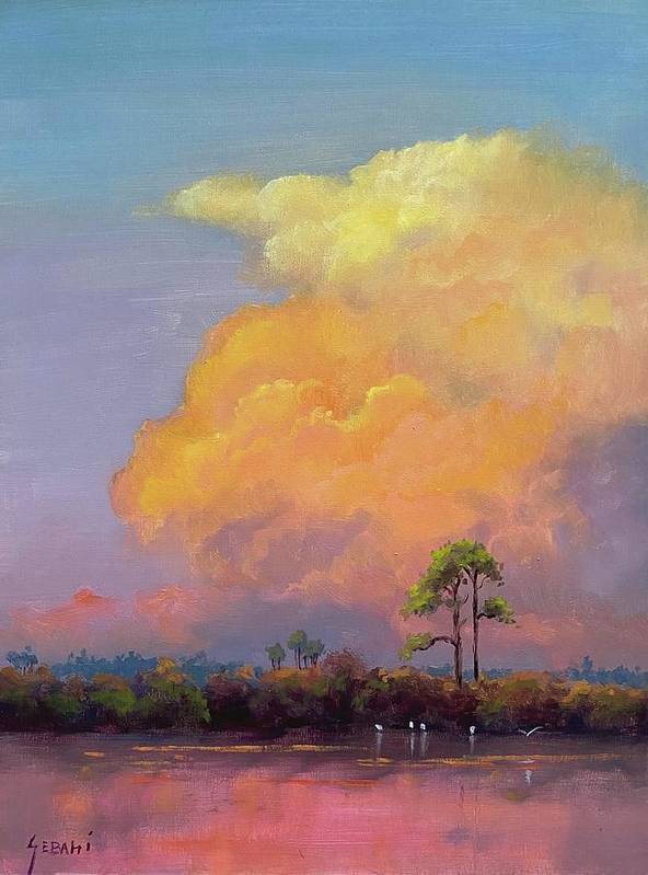 Florida Clouds Sunset Landscape Art Print  - Art Print