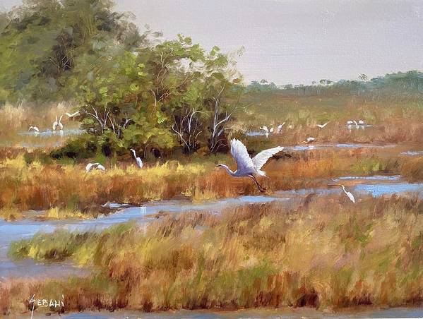 Florida Everglades Wildlife landscape Art Print  - Art Print