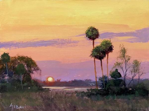 Florida Landscape Sunset - Art Print