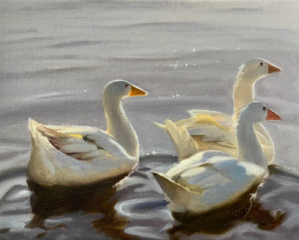Basking in the Sun Wildlife Swan painting