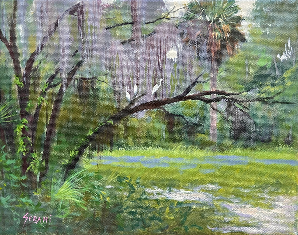 Florida’s Backyard and Egrets Landscape. Original