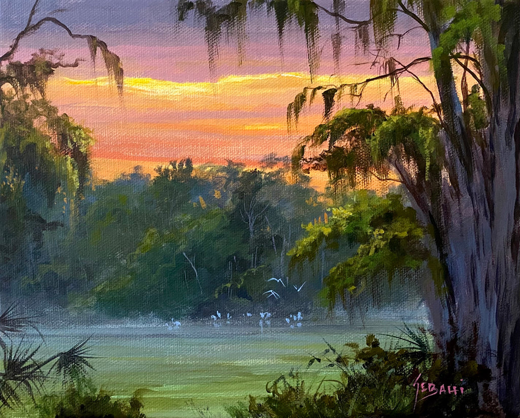 Florida’s Backcountry Wetland Sunset. Original!