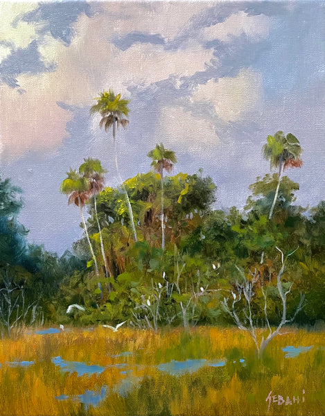 Evening in Backcountry Florida Landscape.