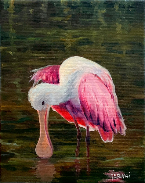 Spoonbill Wildlife Art. Original!