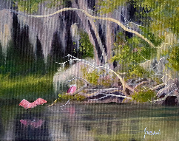 Florida Spoonbills Wildlife . Original!