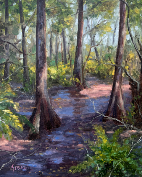 Cypress Trees at Busch Wildlife Sanctuary. Original