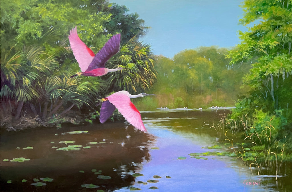 Florida Spoonbills in flight Landscape. Original!