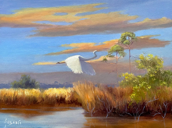 Flight through the Everglades