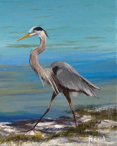 Blue Heron Florida Wildlife Portrait. Original!