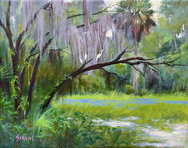 RiverBend Trails Florida Landscape. Original!
