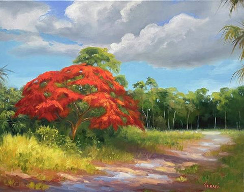 royal-poinciana-trail-